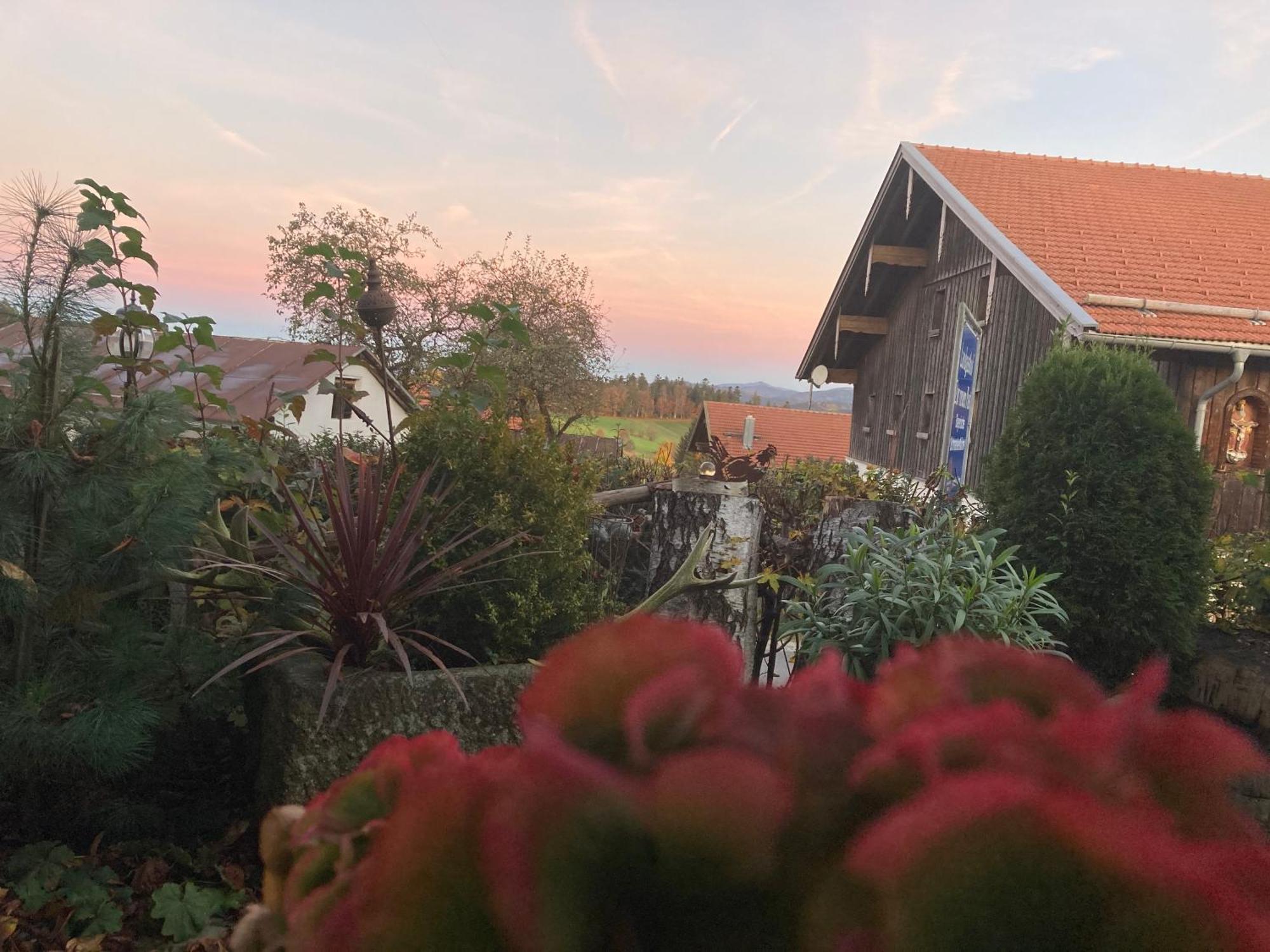 Zur Neuen Post Landgasthof Herzogsreut Dış mekan fotoğraf