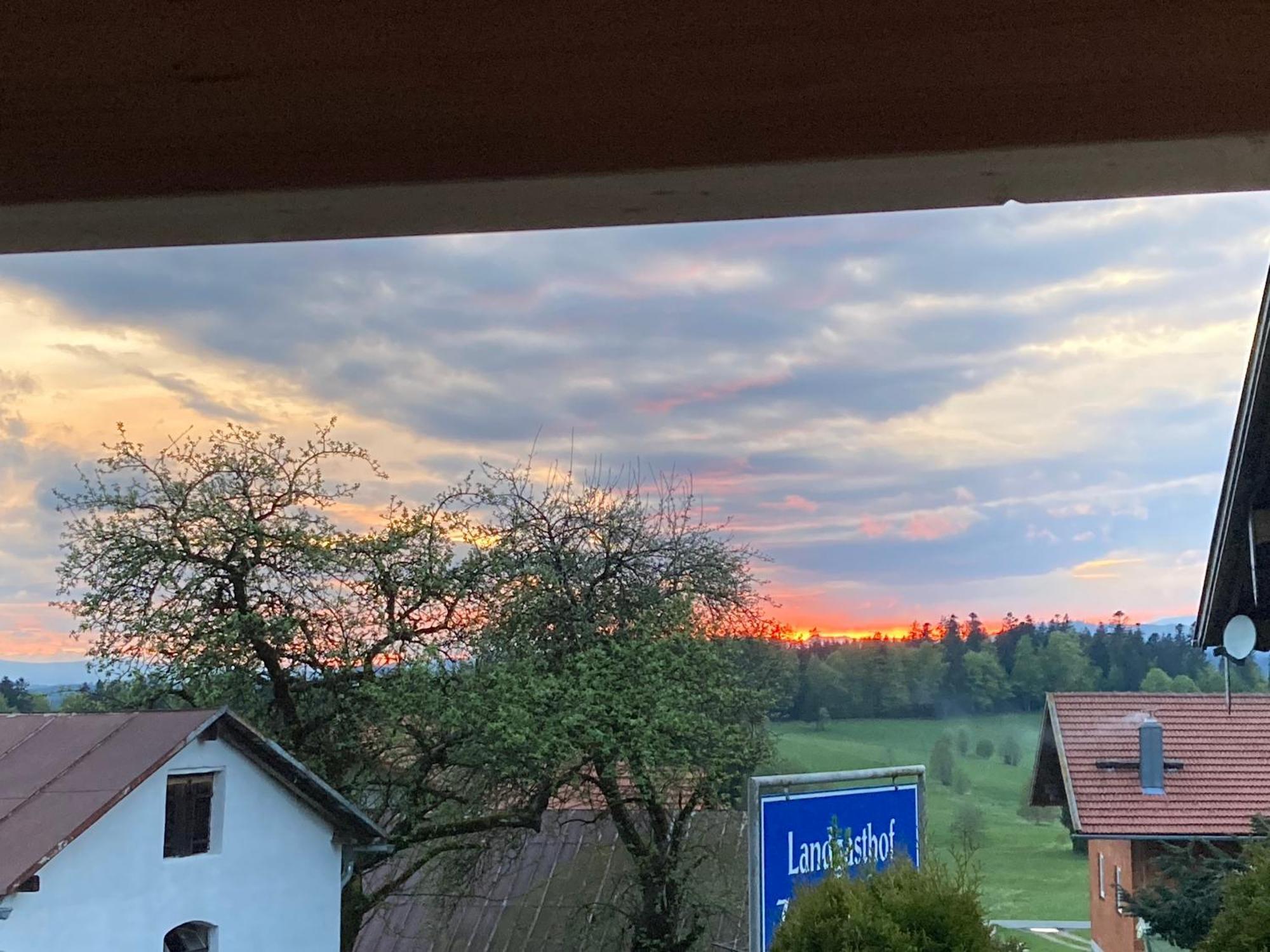 Zur Neuen Post Landgasthof Herzogsreut Dış mekan fotoğraf