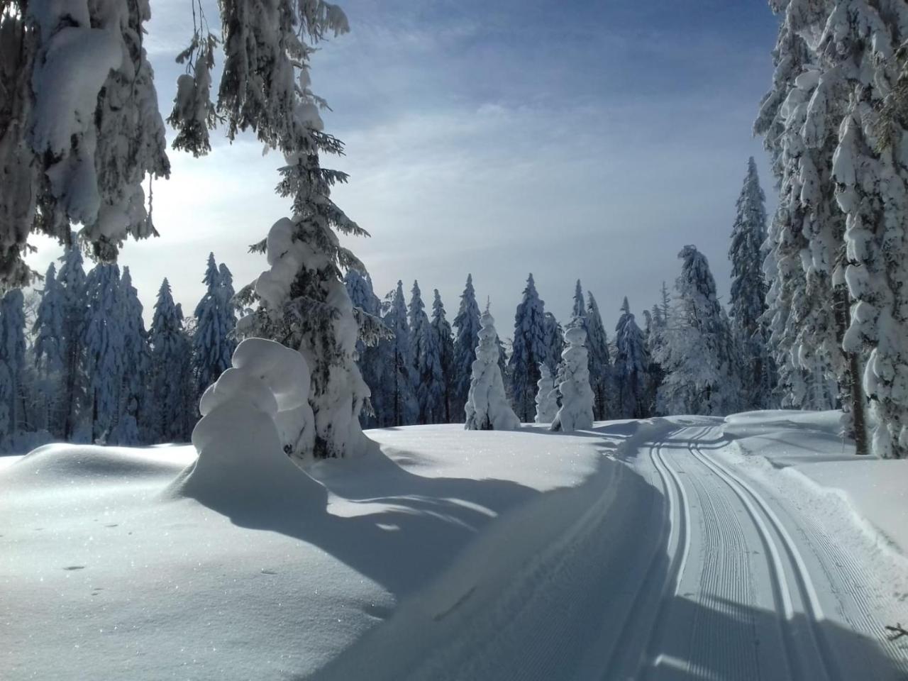 Zur Neuen Post Landgasthof Herzogsreut Dış mekan fotoğraf